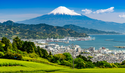SHIZUOKA